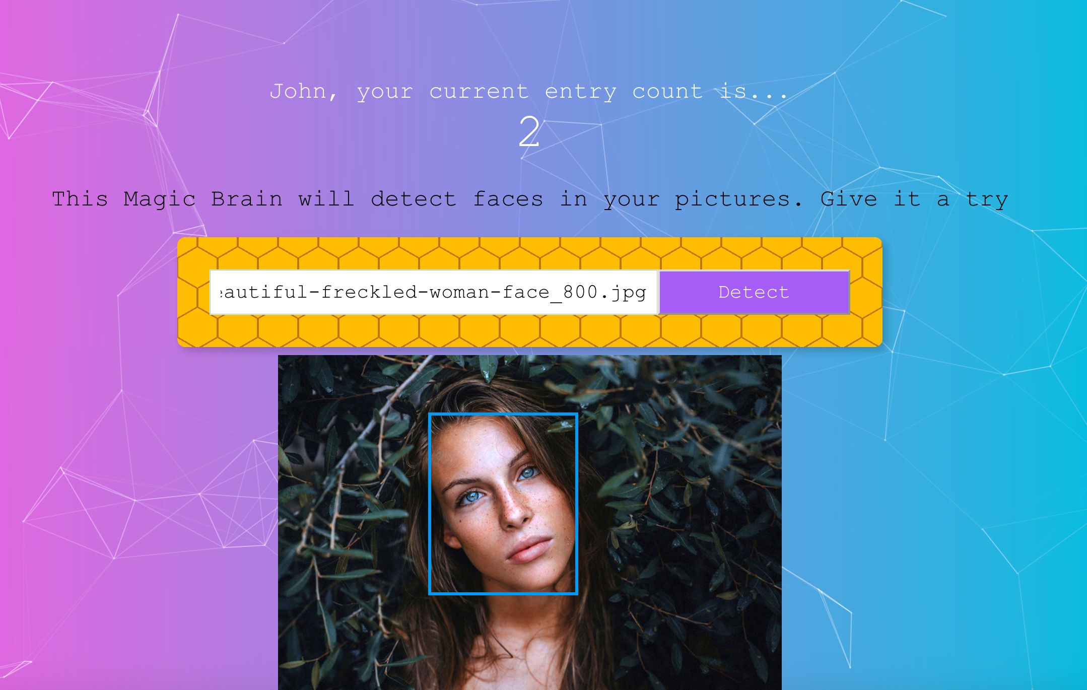 Screenshot of my Facial Recognition Web App Screenshot of my Facial Recognition App Project